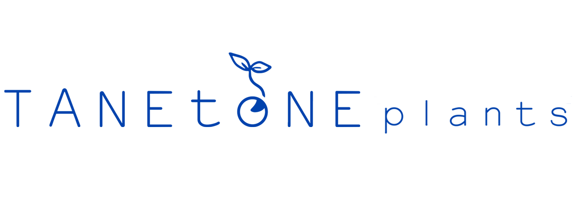TANEtoNE plants