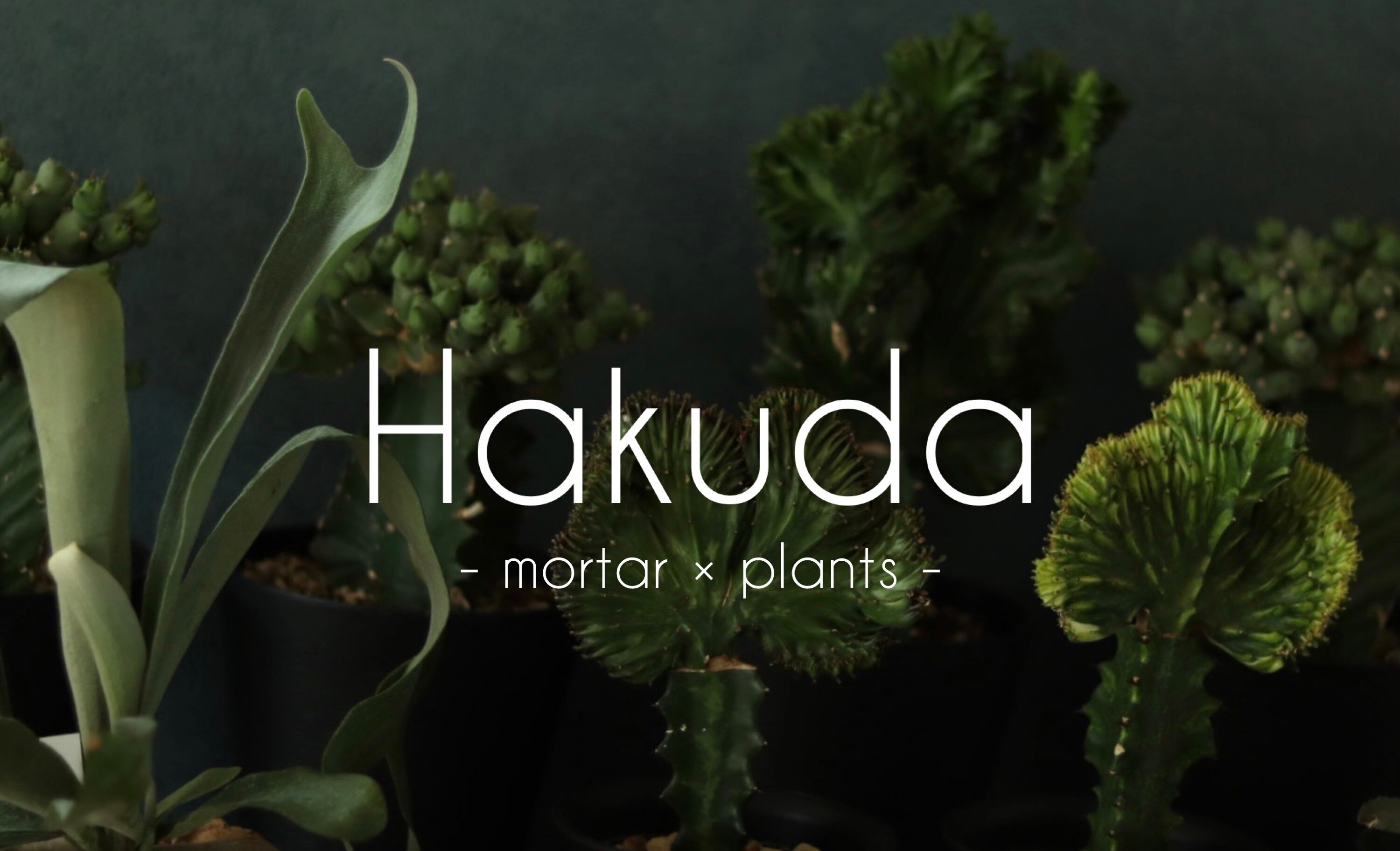 Hakuda