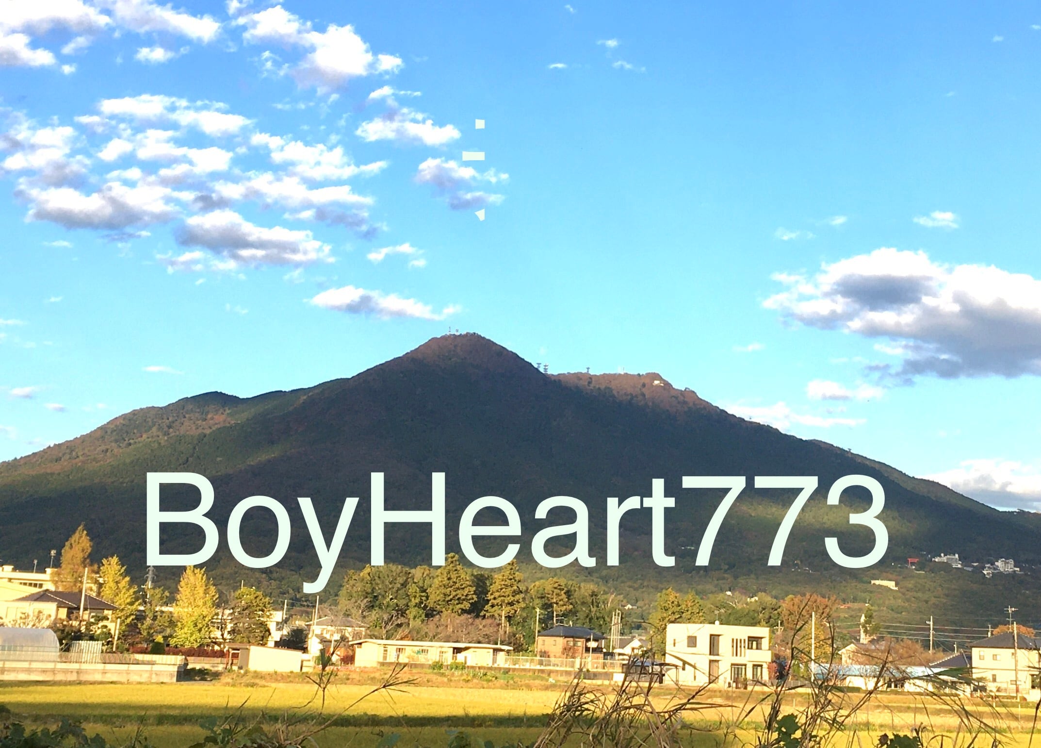 boyheart773