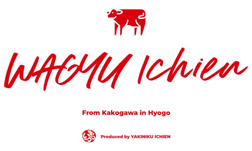 Wagyu Ichien