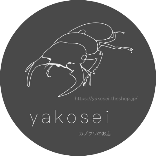 yakosei-カブクワのお店-