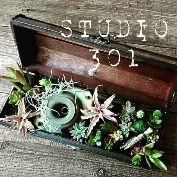 STUDIO 301