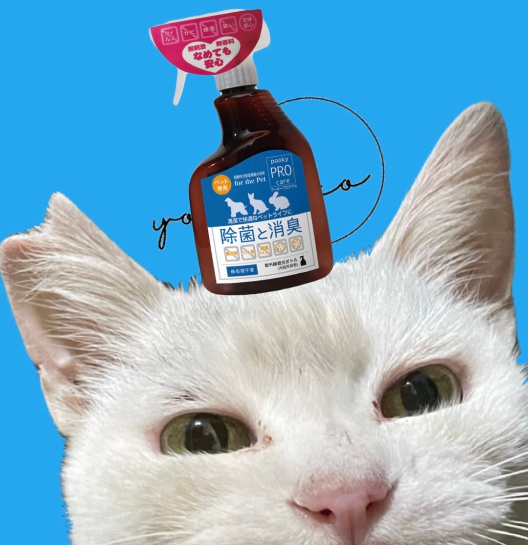 プーキープロケア正規販売代理店-ゆうねこ-