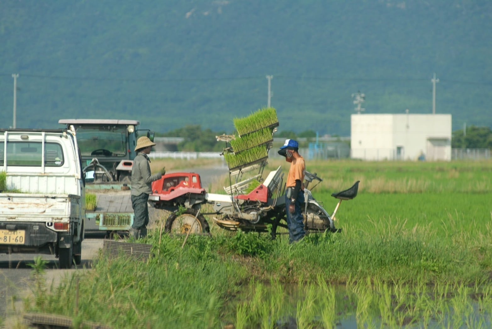 お米野産なかざわ