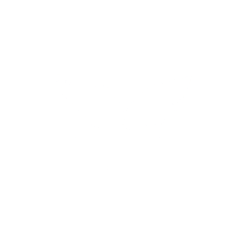 MY ANGEL