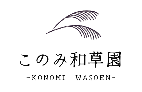 konomiwasoen