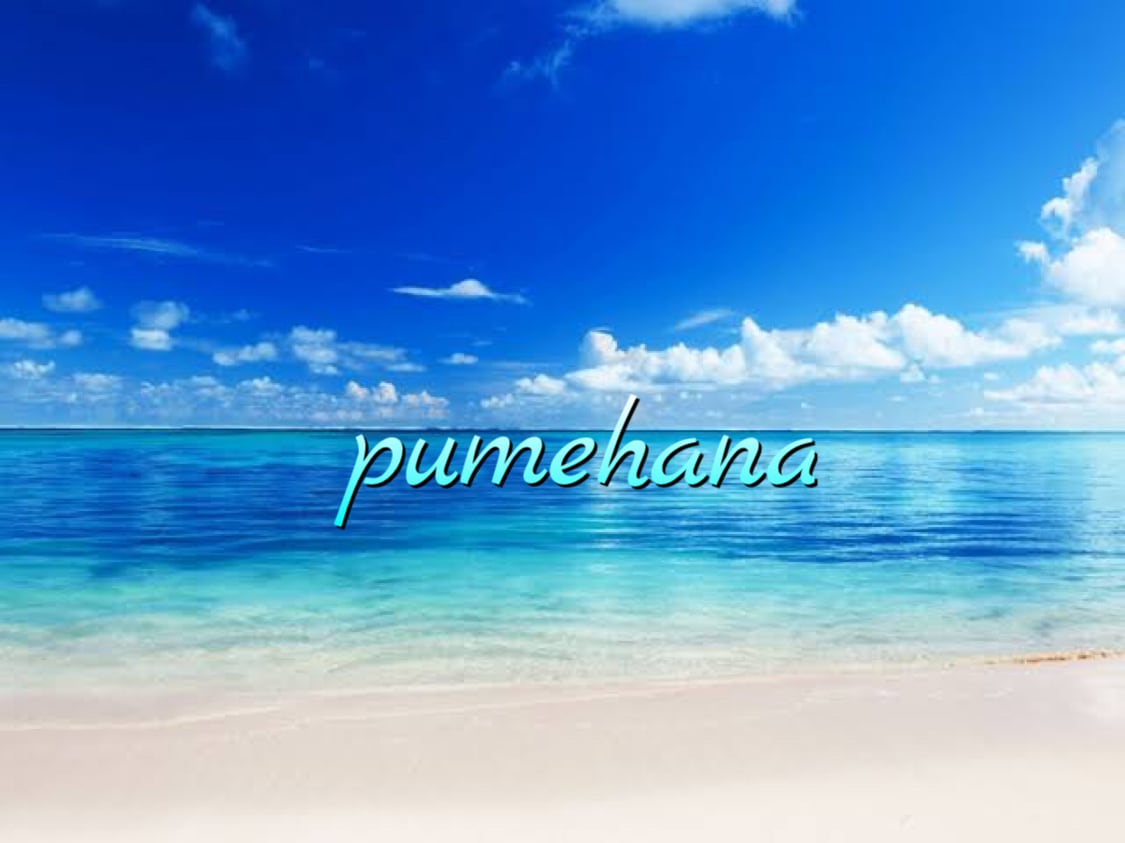 ハンドメイド 素材 pumehana