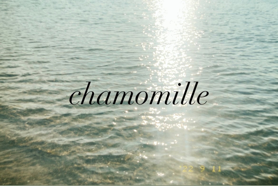 古着屋　chamomille