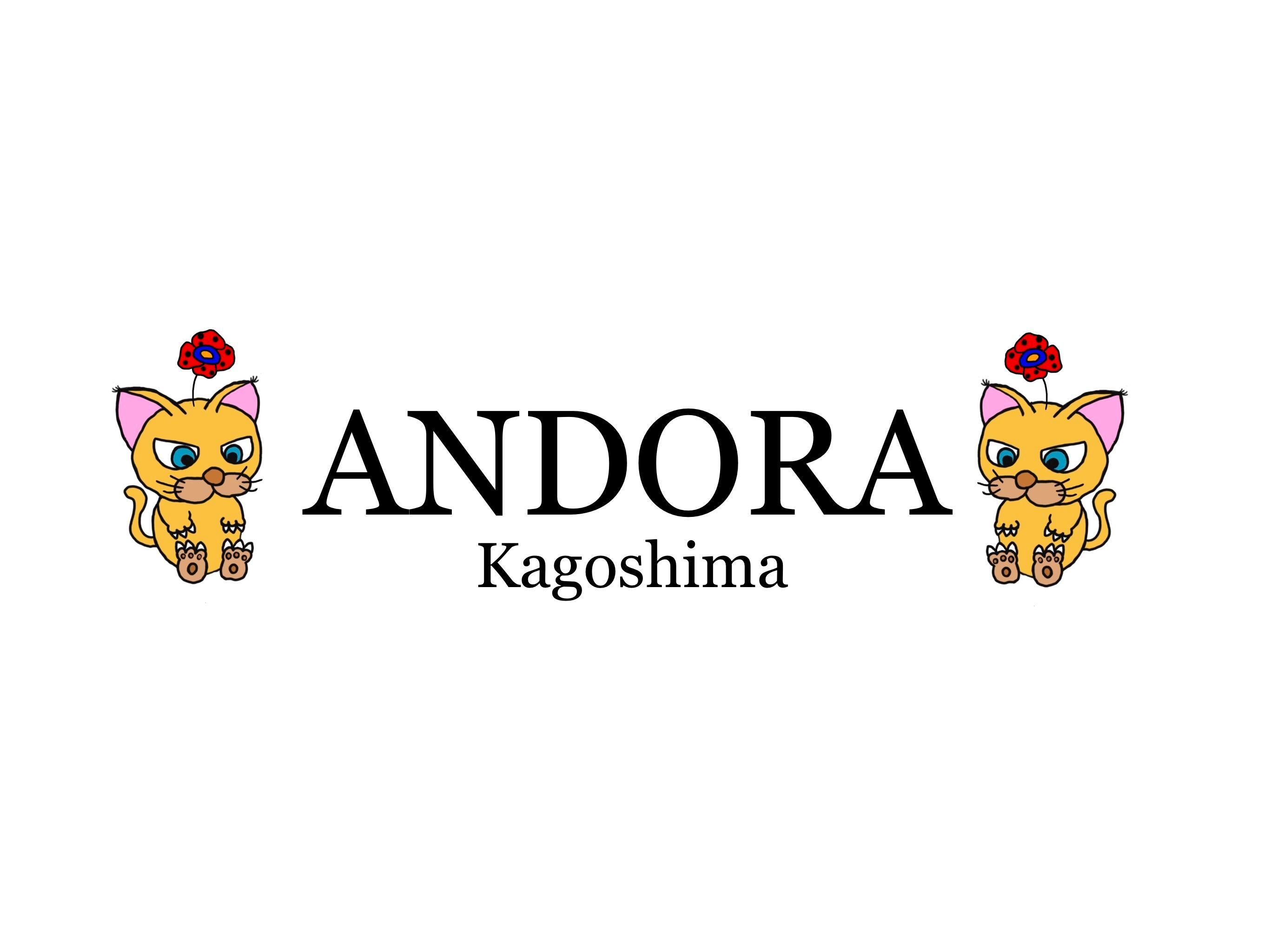 ANDORANEKOの空想雑貨屋
