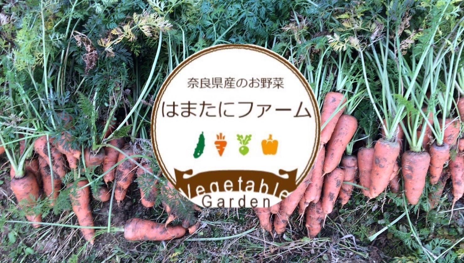 はまたにファーム　　奈良県産　野菜の通販