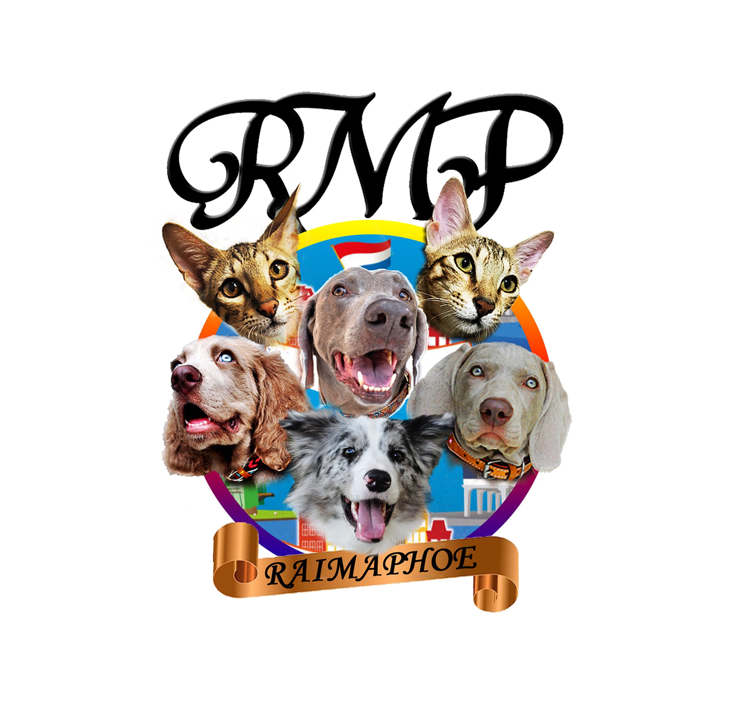RAIMAPHOE DOGS & CATS　 ORGANIC SELECT SHOP