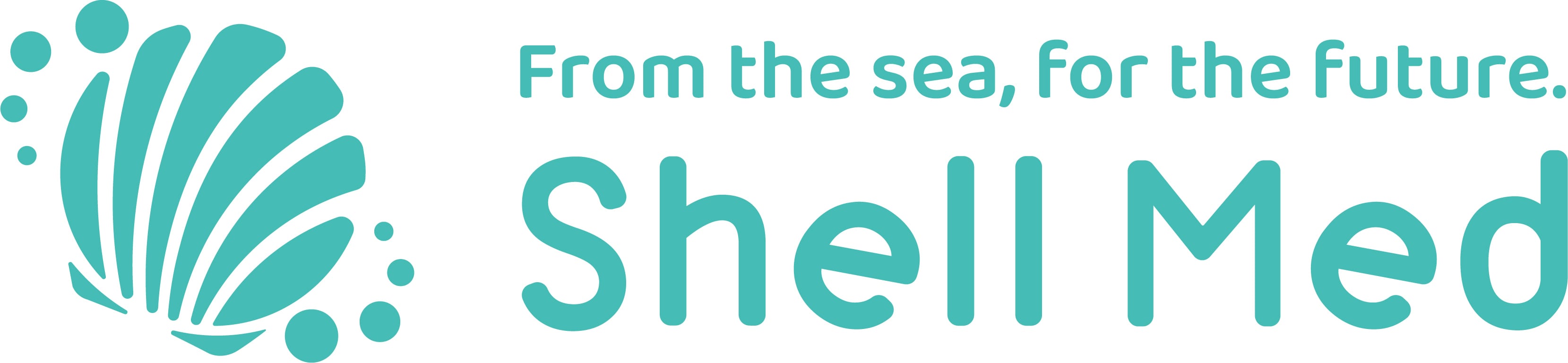 Shell Med|ホタテ