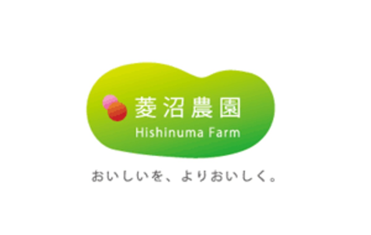 hishinuma.thebase.in