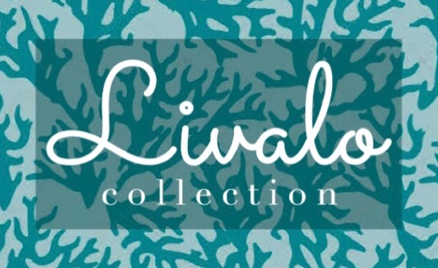 Livalo Collection♡ ビキニ  水着 送料無料 ♡