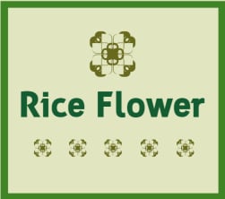 RiceFlower