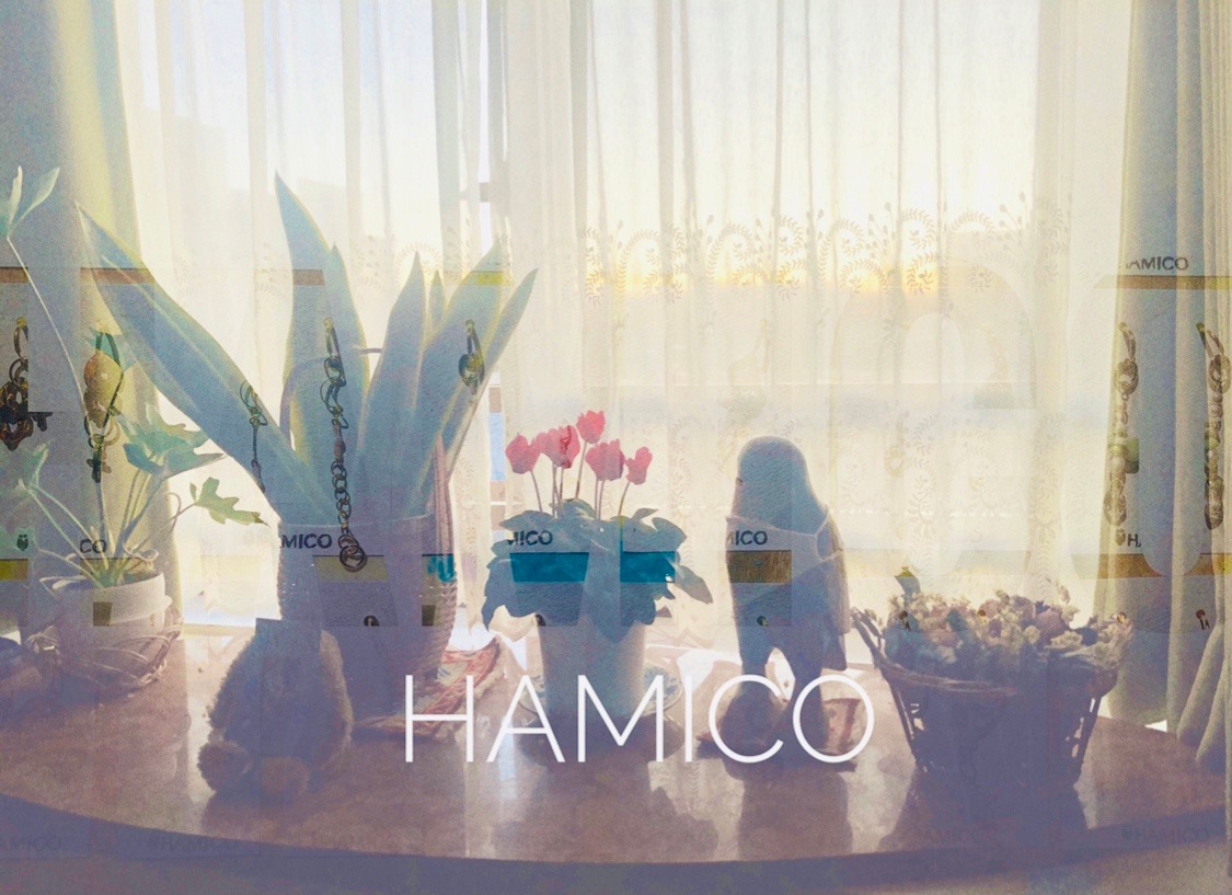 HAMICO