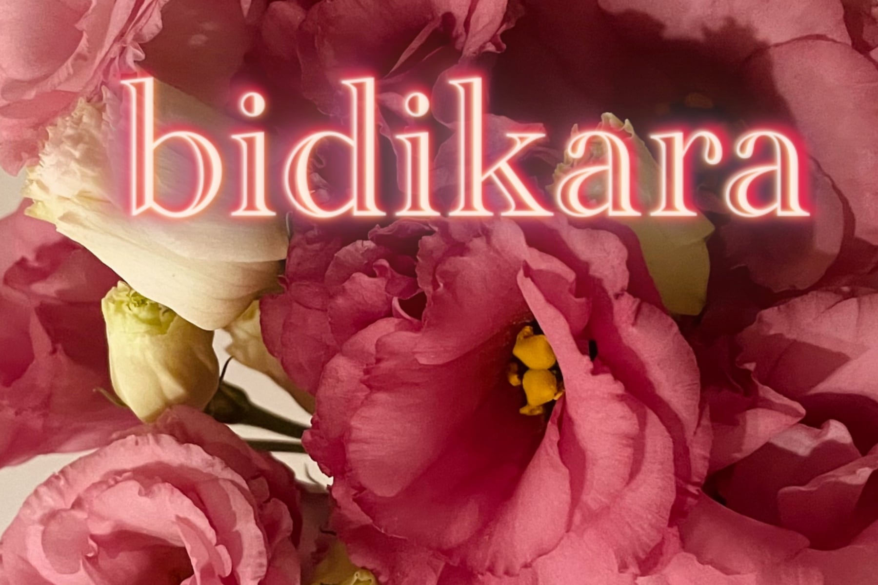 bidikara