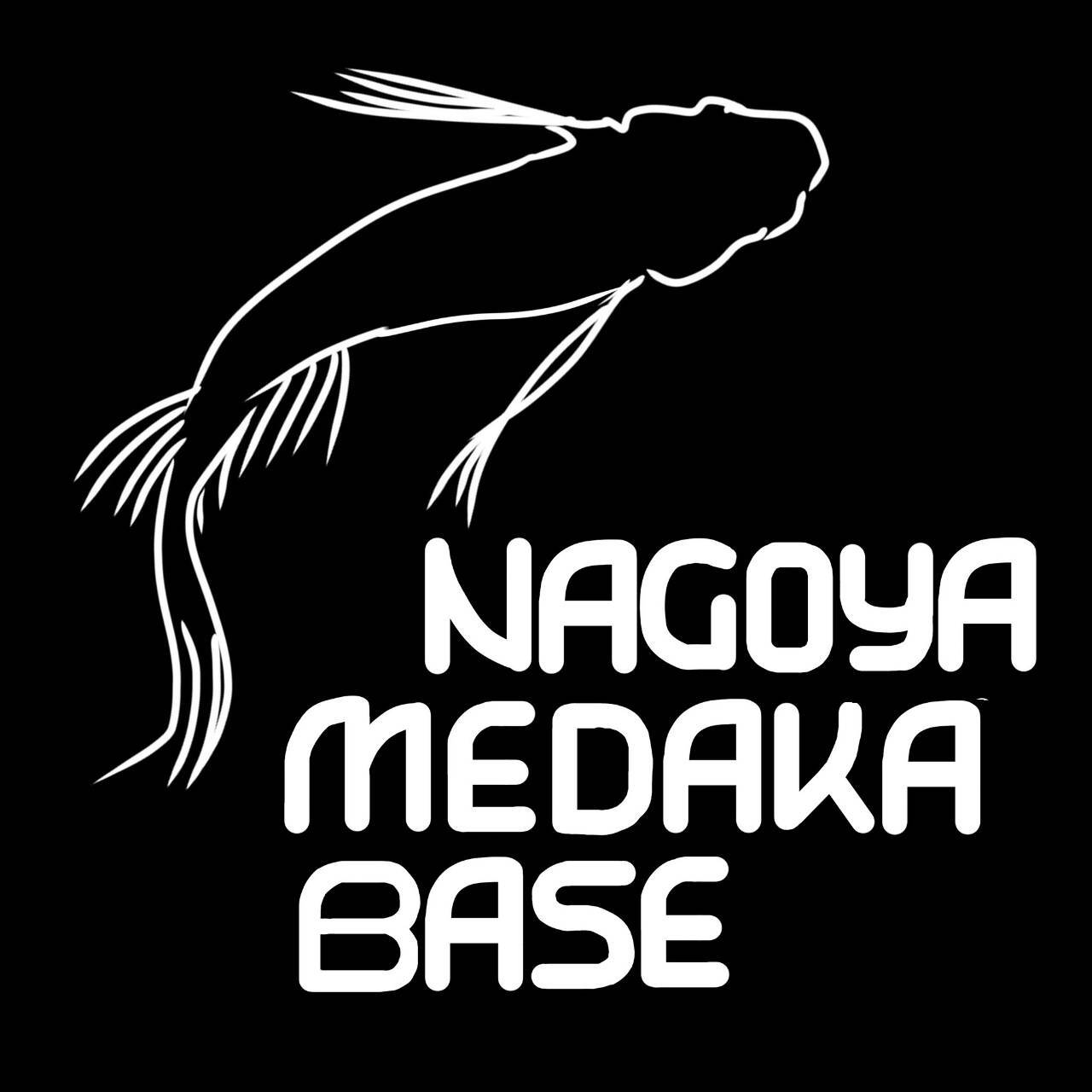valuable メルカり総合店　専用出品 ありさか/LRPP【緑】《BP01-131/100》 BP01-131/100 販売ページ