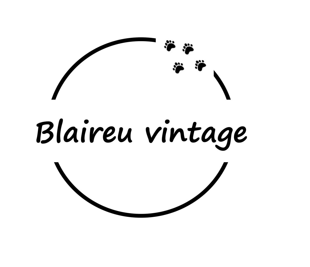 Blaireau vintage