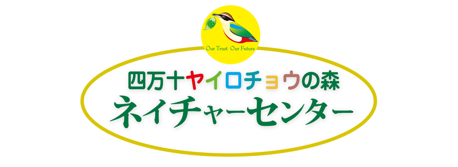 四万十ヤイロチョウの森ネイチャーセンター