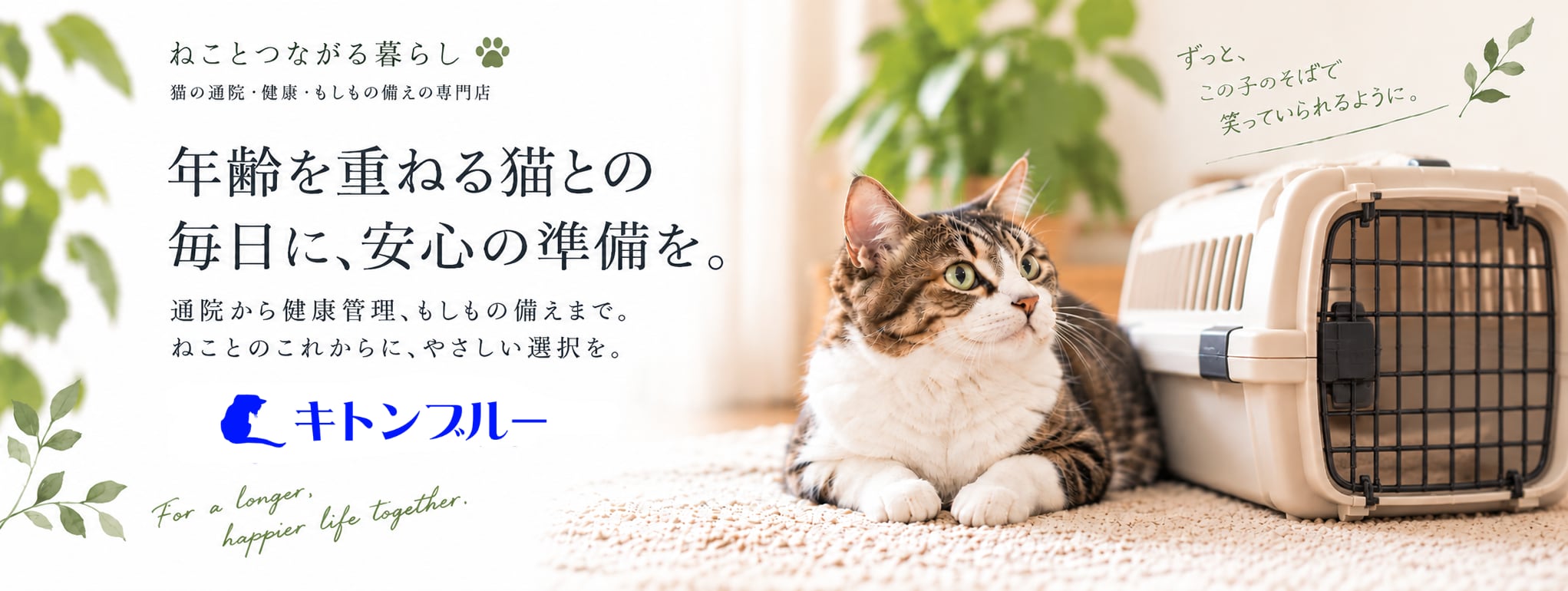 キトンブルー｜猫の通院・健康管理・シニア猫との暮らしを支える専門店