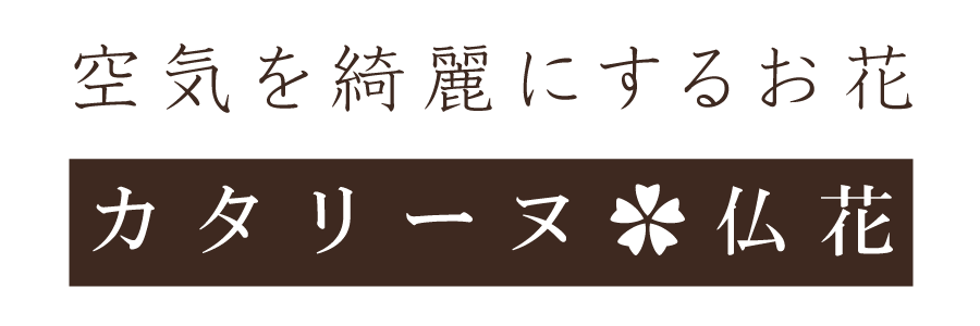 仏花　花♡Ange