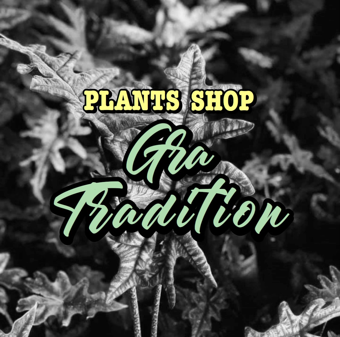 観葉植物専門店　PLANTS SHOP GRA TRADITION