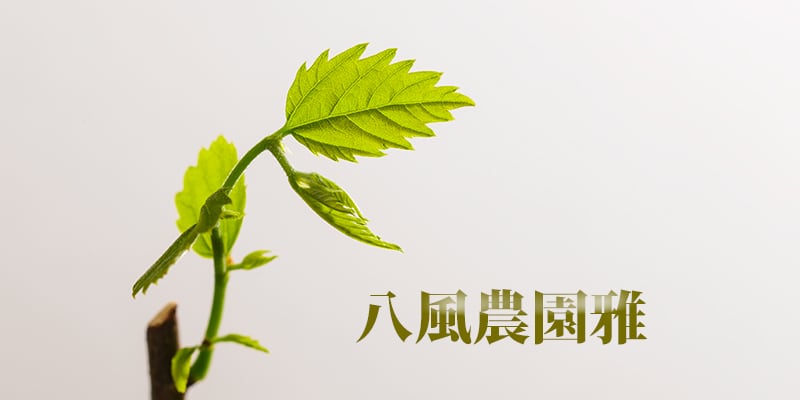 八風農園　雅