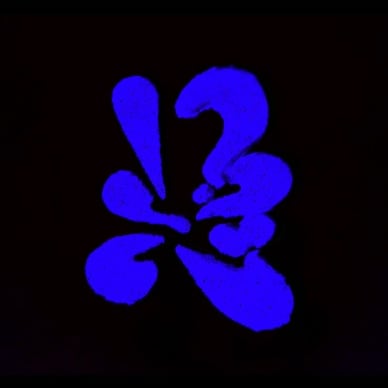 Tagging brain company 