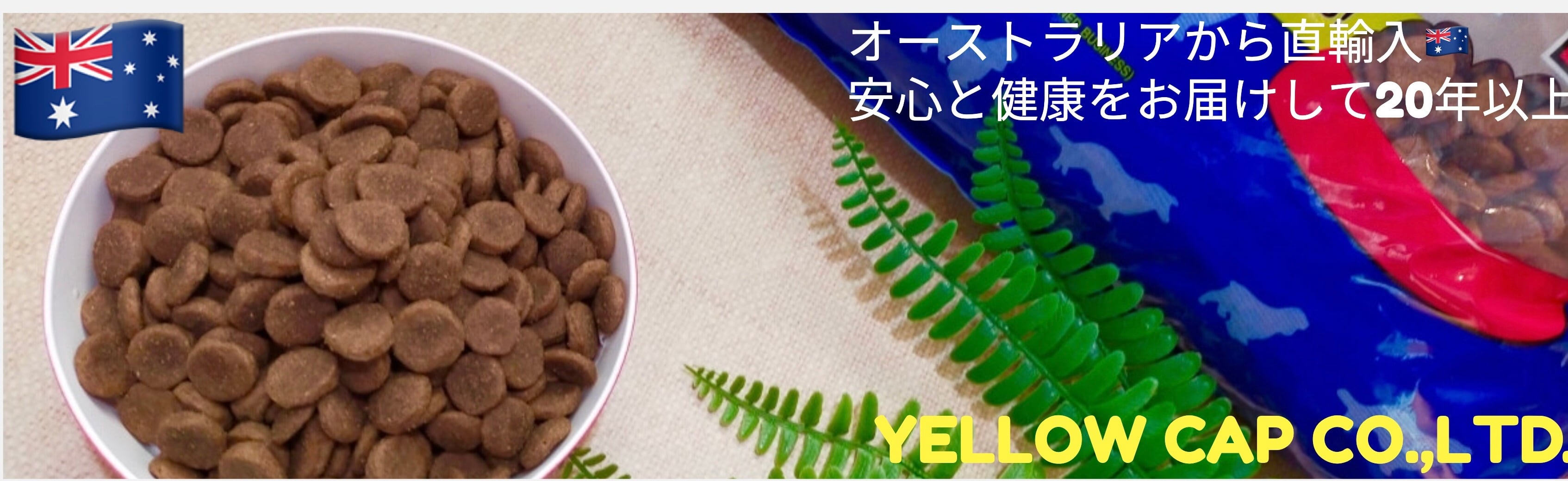 有限会社イエローキャップ