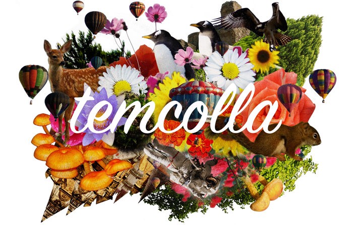 temcolla - テンコラ