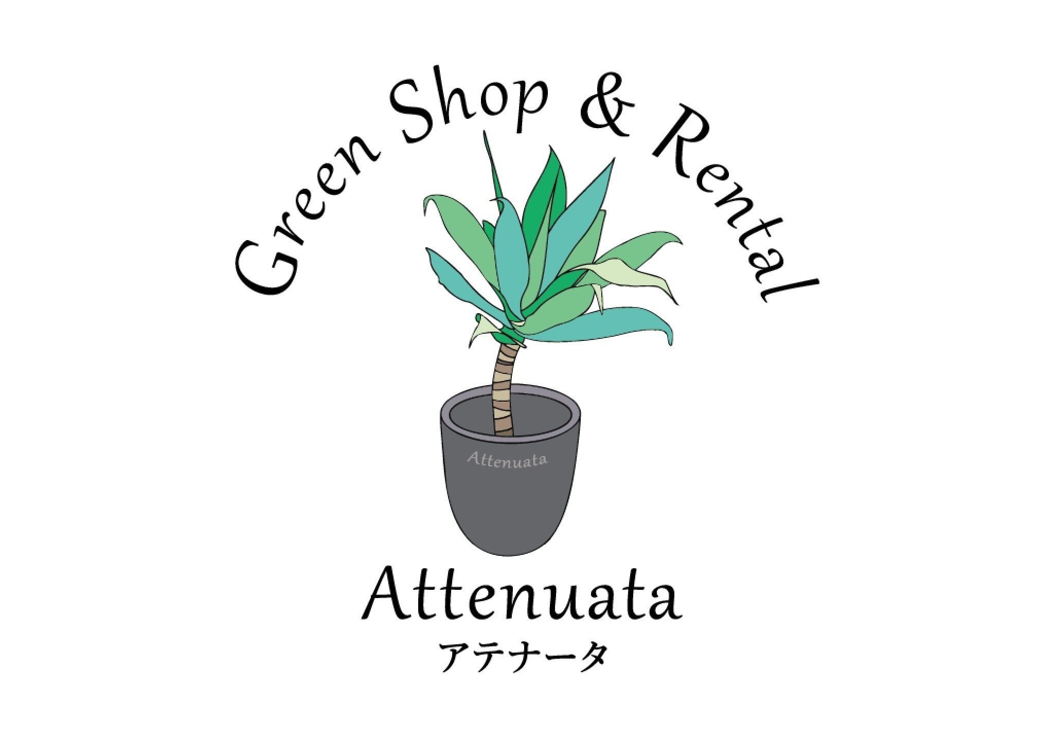 greenshop.attenuata