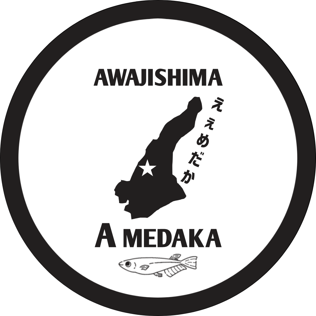 淡路島Aめだか