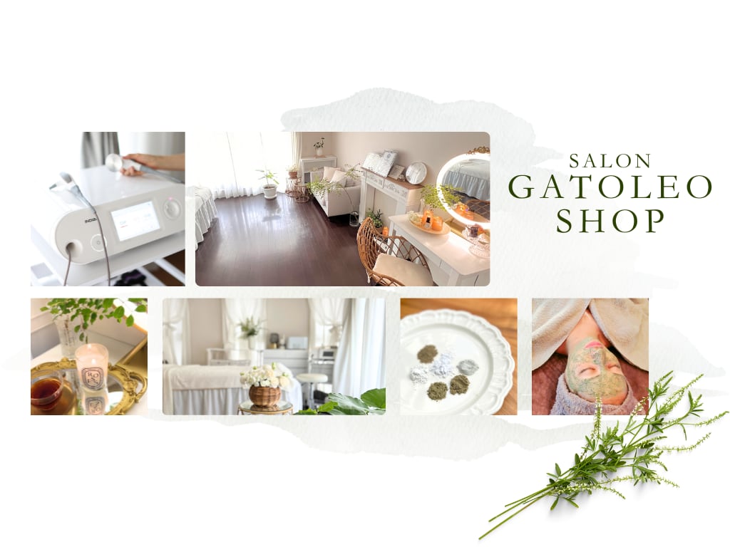 Salon GATOLEO SHOP