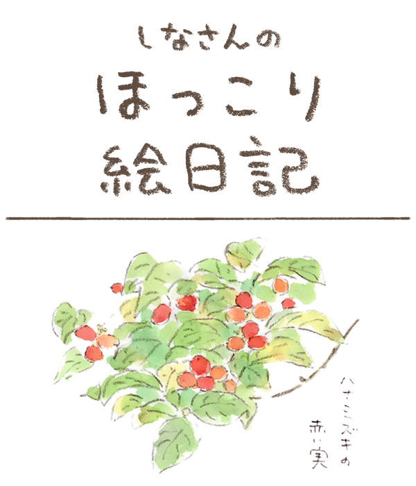 hoccorisan