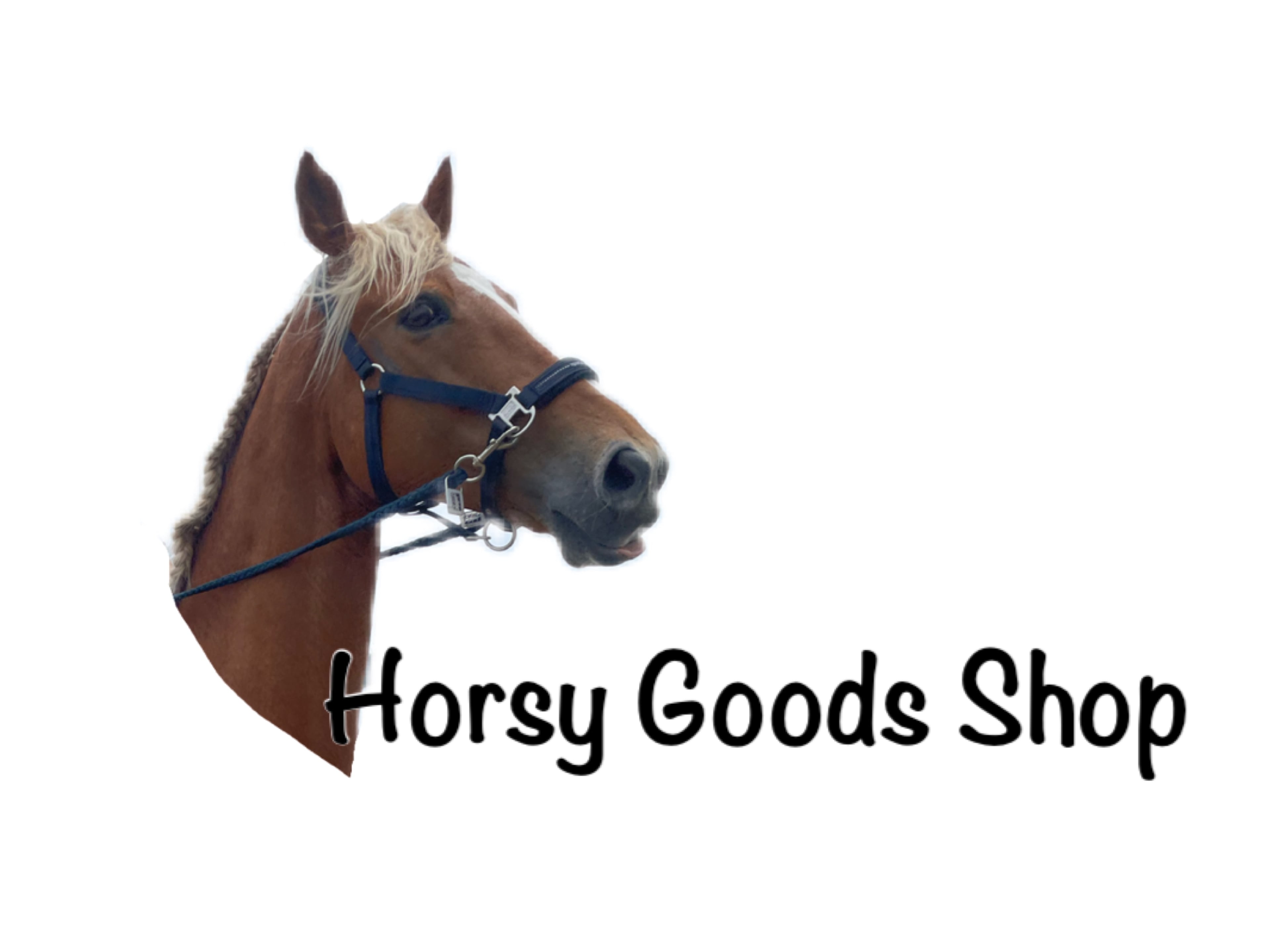 Horsy Goods Shop