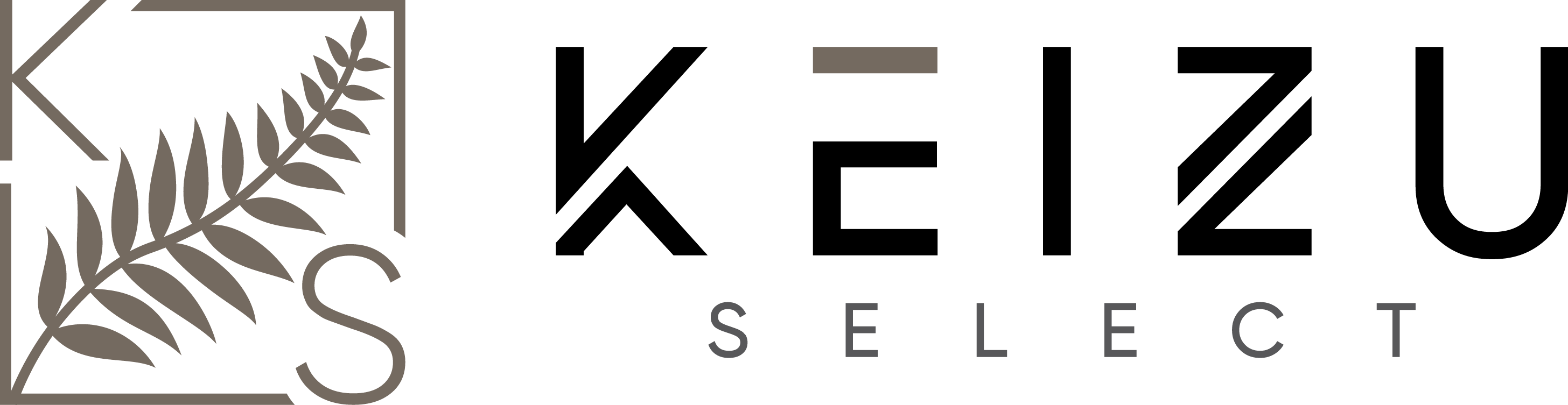 KEIZUselect