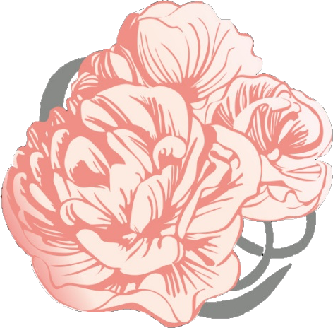 顔美人の会オンラインショップ