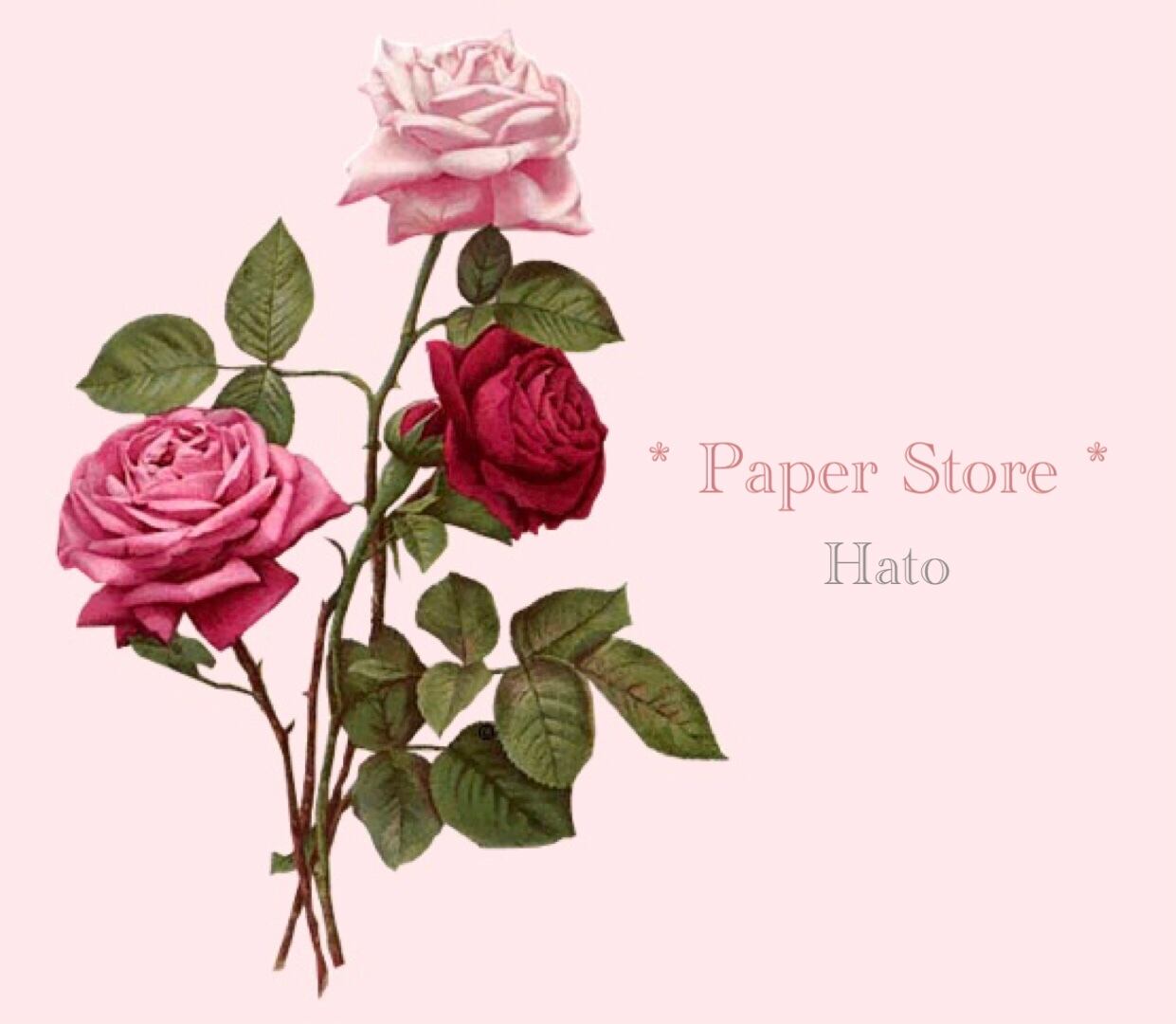 * Paper Store *