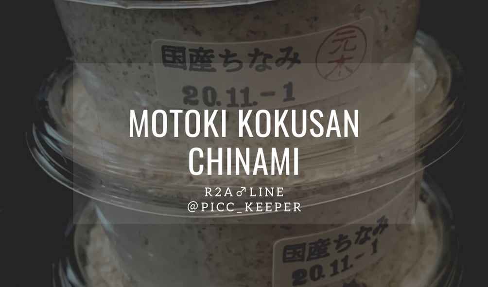 国産オオクワガタ 元木ちなみ血統専門店 " Picc_keeper's_shop "