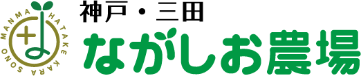 nagashionojo