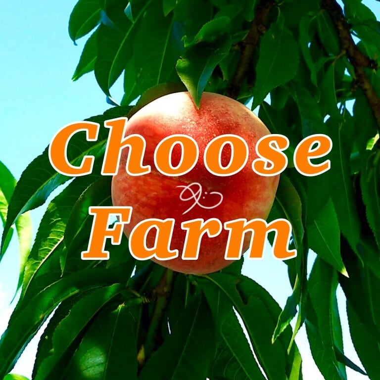 Choose Farm チューズファーム