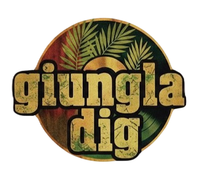 奈良の古着や‼giungladig(ジャンゴラディグ)