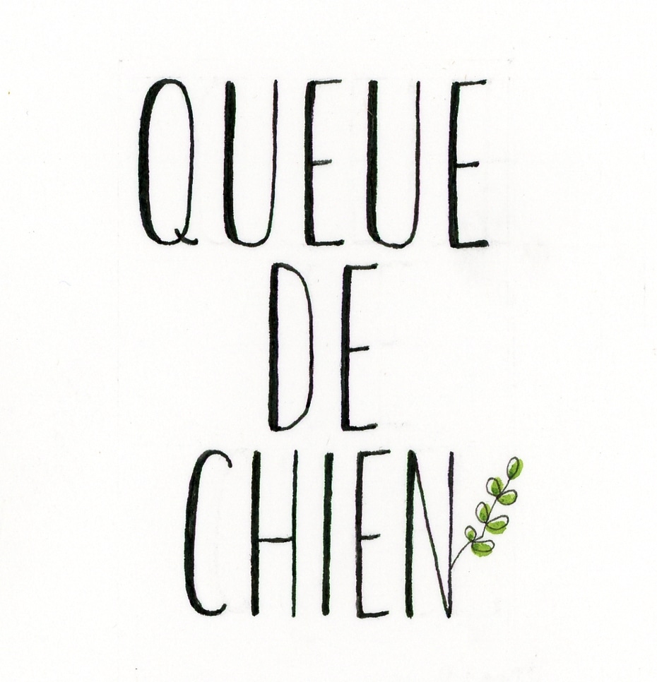 QUEUE DE CHIEN ✂︎