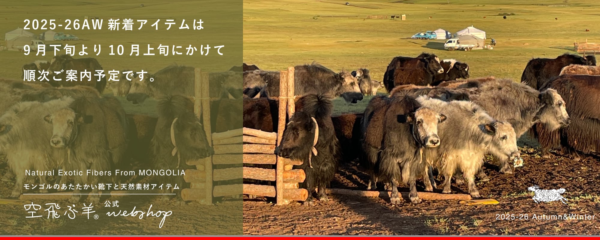 空飛ぶ羊公式webshop｜モンゴルのあたたかい靴下と天然素材アイテム