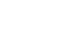 Mｰflower