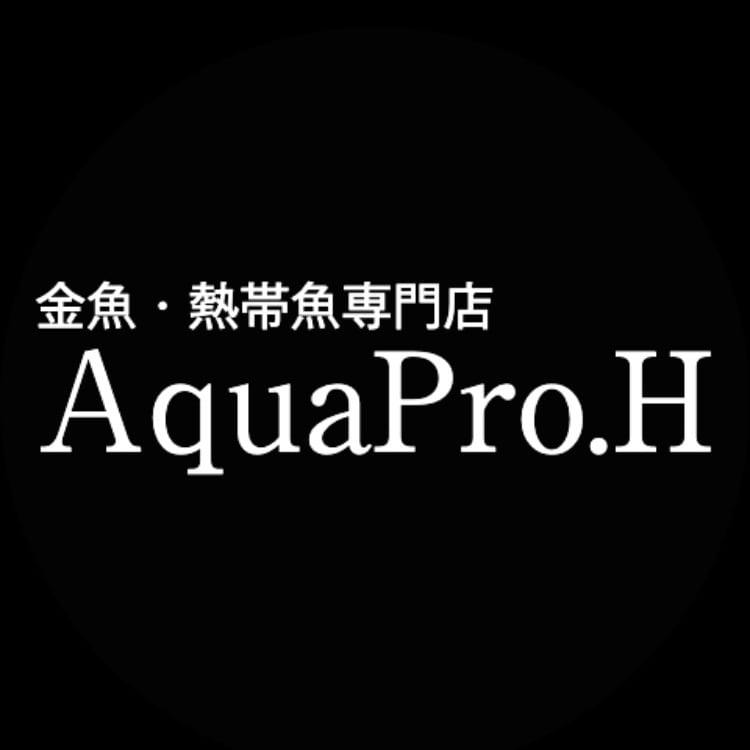 金魚・熱帯魚専門店 AquaPro.H