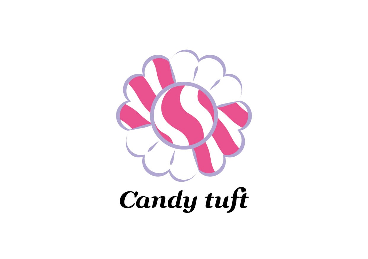 Candy tuft