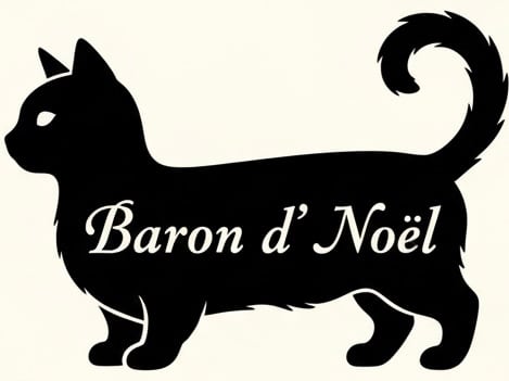 Baron d' Noël