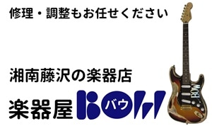 楽器屋BOW　特選したギター・ベース・ウクレレの通販